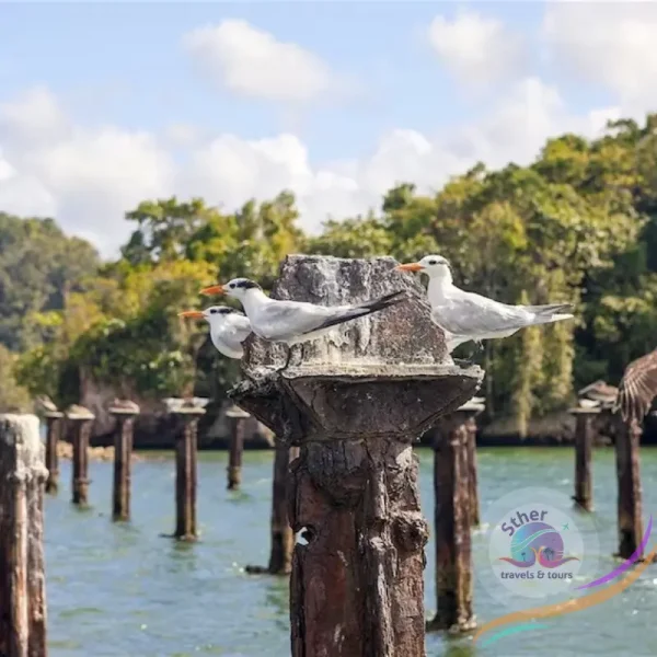 LOS HAITISES NATIONAL PARK