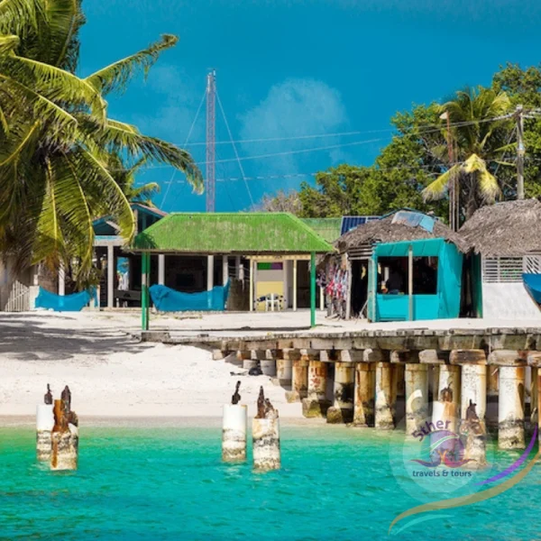 Discover Saona Island - Shared