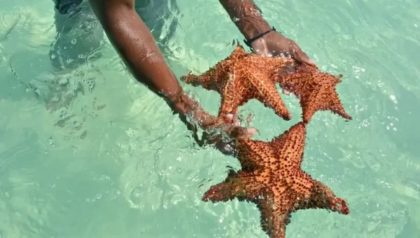 Discover Saona Island - Shared