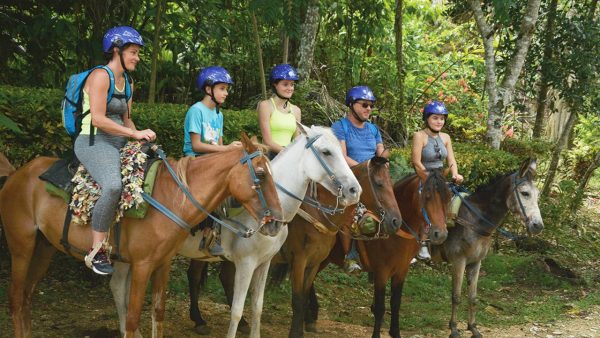 Whale Watching, El Limón Waterfall & Bacardi Island