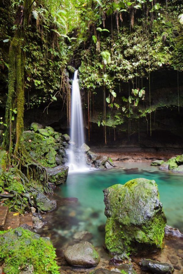 Whale Watching, El Limón Waterfall & Bacardi Island