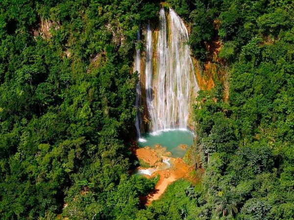 Whale Watching, El Limón Waterfall & Bacardi Island